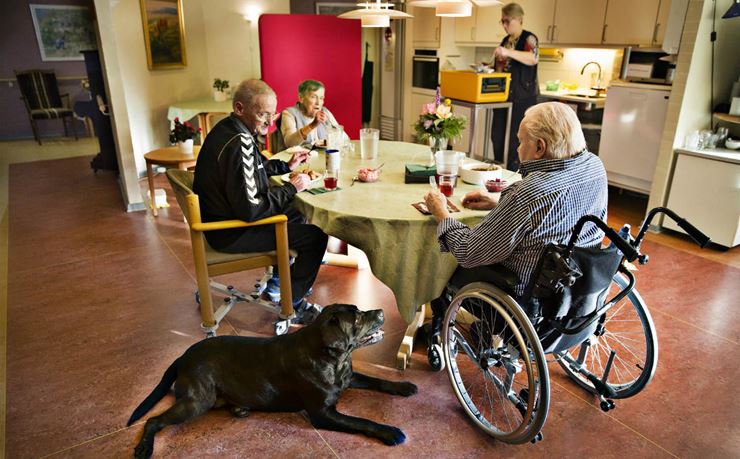  Beboere på plejehjem spiser mad med hund