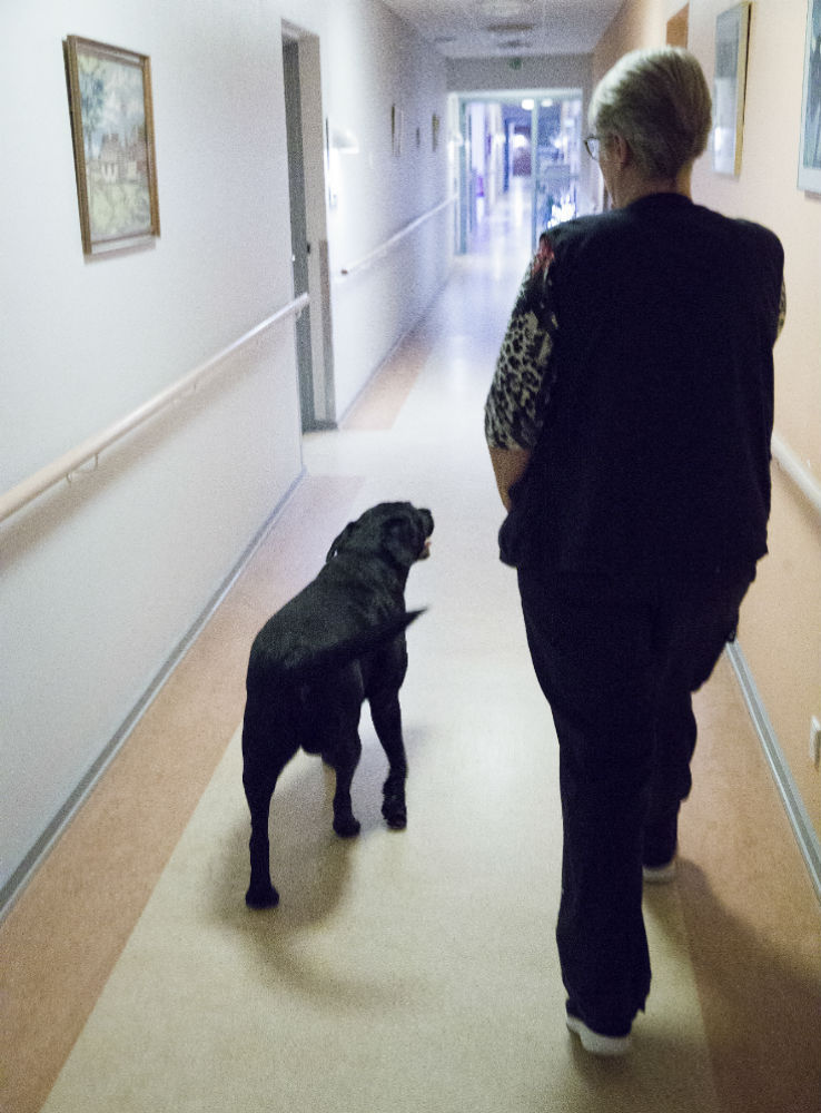 Kenzo Social-og sundhedsassistent Malene Johansen går ned af gang med sin hund
