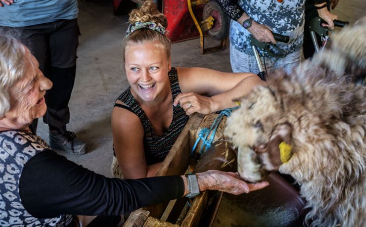 Oplevelsesmedarbejder Ada Holst klapper et får sammen med en borger