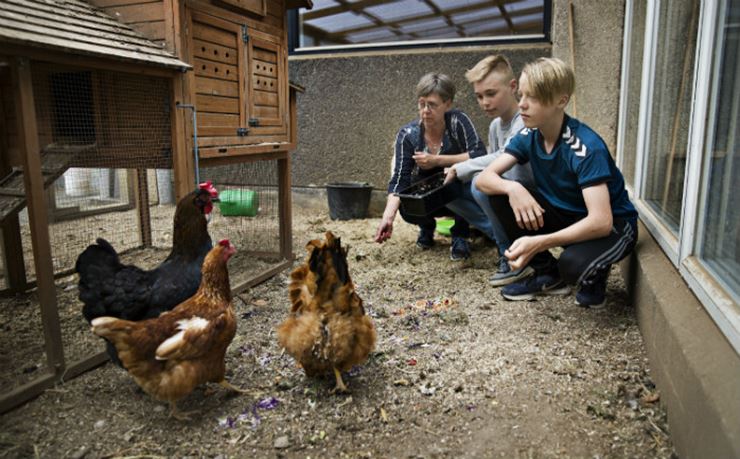 Køkkenleder Jette Jensen giver madrester til høns