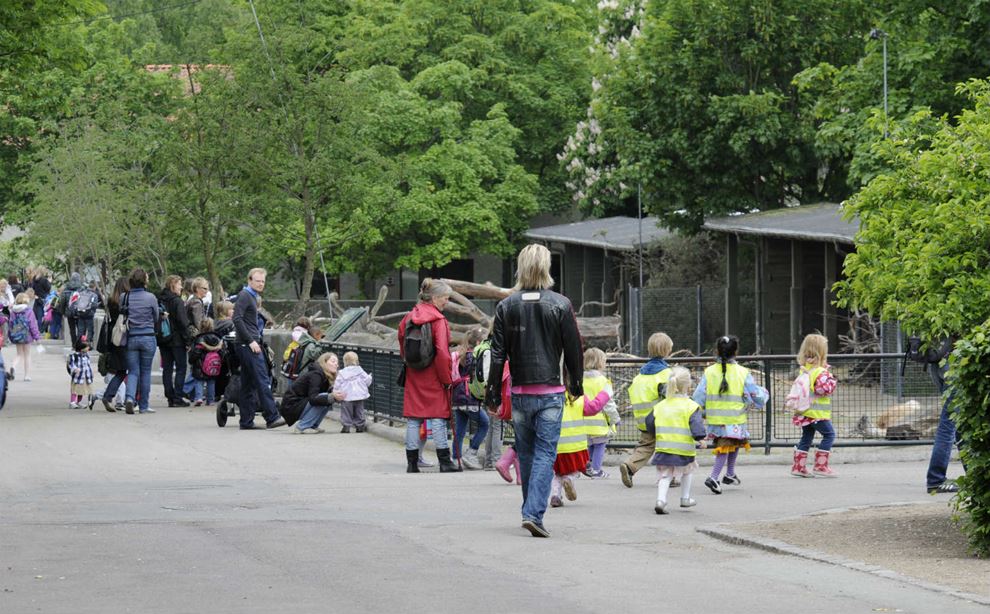 Børnehave på tur til zoologisk have