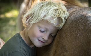 Dreng hviler sit hoved på en hest