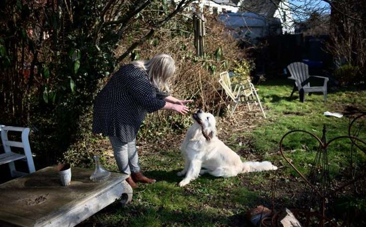 Kvinder leger med hund ude i haven 